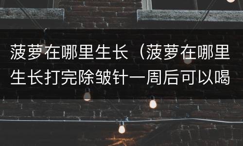 菠萝在哪里生长（菠萝在哪里生长打完除皱针一周后可以喝调经类的中药吗）