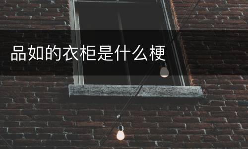 品如的衣柜是什么梗