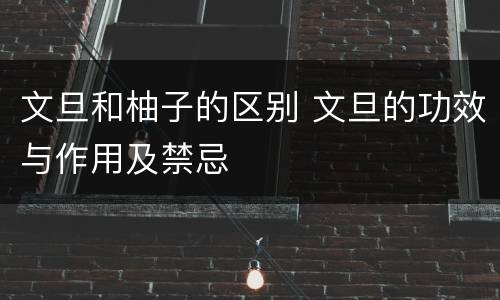 文旦和柚子的区别 文旦的功效与作用及禁忌