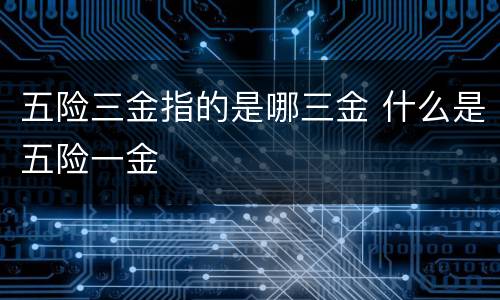 五险三金指的是哪三金 什么是五险一金
