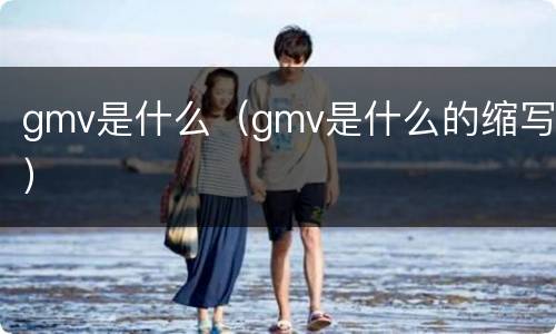gmv是什么（gmv是什么的缩写）