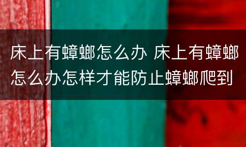 床上有蟑螂怎么办 床上有蟑螂怎么办怎样才能防止蟑螂爬到床上