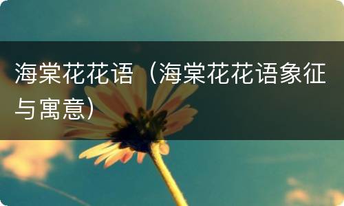 海棠花花语（海棠花花语象征与寓意）