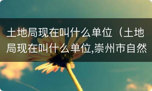 土地局现在叫什么单位（土地局现在叫什么单位,崇州市自然资源部在什么地方）