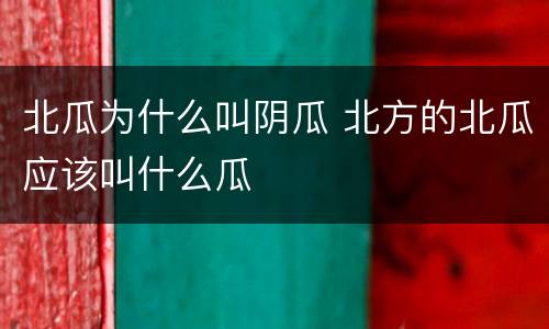 北瓜为什么叫阴瓜 北方的北瓜应该叫什么瓜