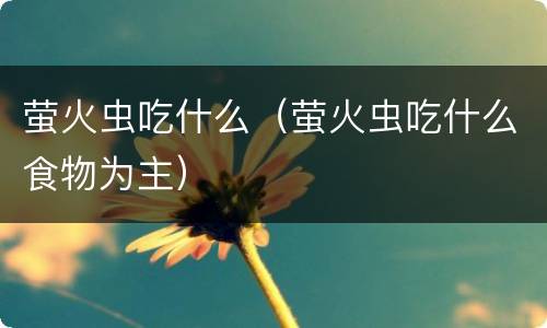 萤火虫吃什么（萤火虫吃什么食物为主）