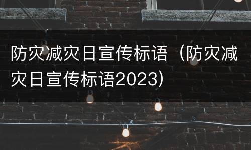防灾减灾日宣传标语（防灾减灾日宣传标语2023）