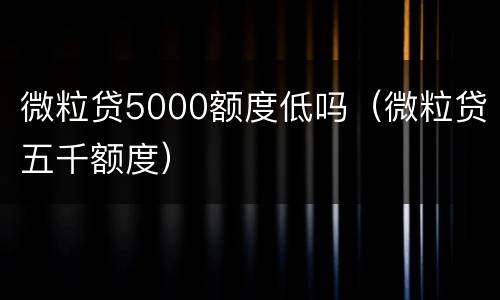 微粒贷5000额度低吗（微粒贷五千额度）