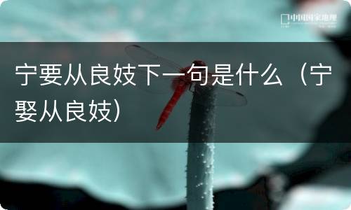 宁要从良妓下一句是什么（宁娶从良妓）