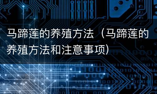 马蹄莲的养殖方法（马蹄莲的养殖方法和注意事项）