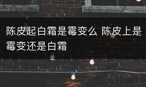 陈皮起白霜是霉变么 陈皮上是霉变还是白霜