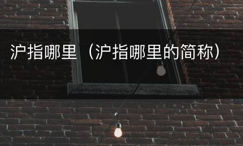沪指哪里（沪指哪里的简称）
