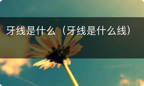 牙线是什么（牙线是什么线）