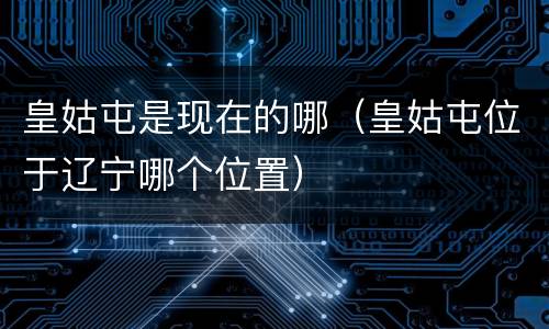 皇姑屯是现在的哪（皇姑屯位于辽宁哪个位置）