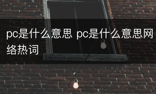 pc是什么意思 pc是什么意思网络热词