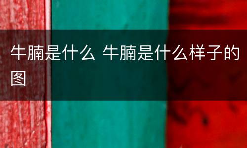 牛腩是什么 牛腩是什么样子的图