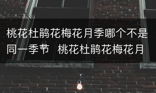 桃花杜鹃花梅花月季哪个不是同一季节  桃花杜鹃花梅花月季中哪种花不在同一季节
