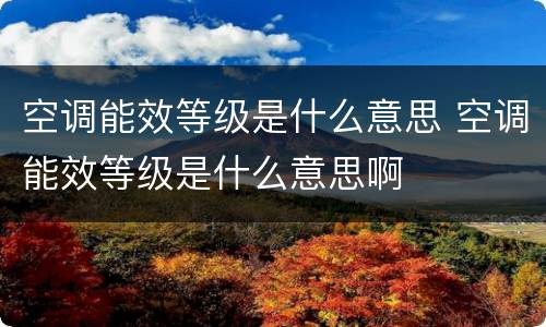 空调能效等级是什么意思 空调能效等级是什么意思啊
