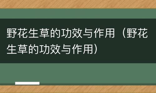 野花生草的功效与作用（野花生草的功效与作用）