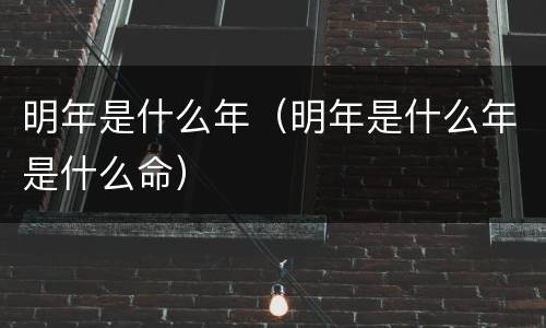 明年是什么年（明年是什么年是什么命）