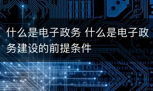 什么是电子政务 什么是电子政务建设的前提条件