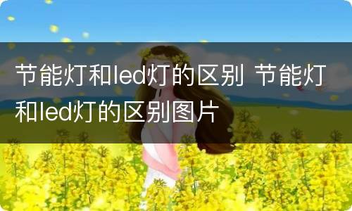 节能灯和led灯的区别 节能灯和led灯的区别图片
