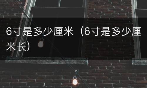6寸是多少厘米（6寸是多少厘米长）