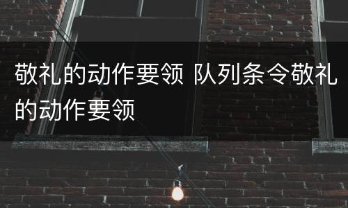 敬礼的动作要领 队列条令敬礼的动作要领