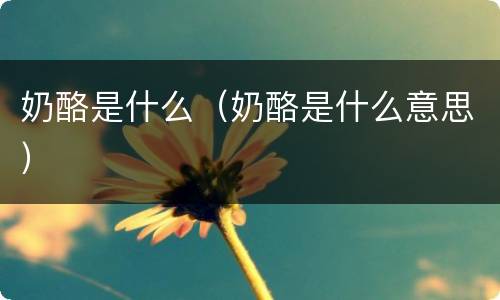奶酪是什么（奶酪是什么意思）