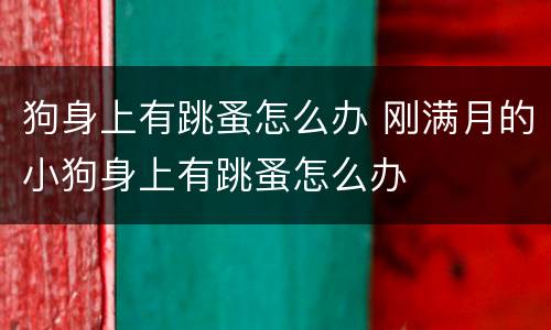 狗身上有跳蚤怎么办 刚满月的小狗身上有跳蚤怎么办