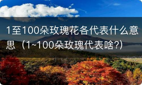 1至100朵玫瑰花各代表什么意思（1~100朵玫瑰代表啥?）