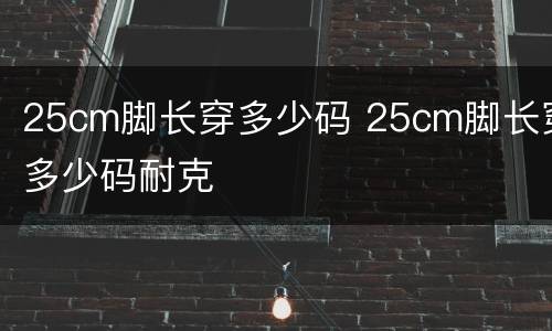 25cm脚长穿多少码 25cm脚长穿多少码耐克