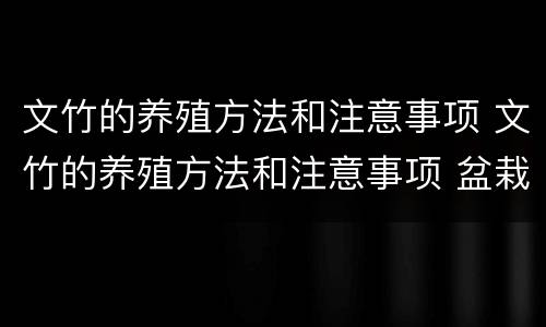 文竹的养殖方法和注意事项 文竹的养殖方法和注意事项 盆栽