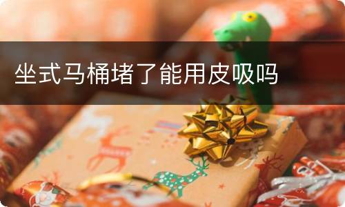 坐式马桶堵了能用皮吸吗