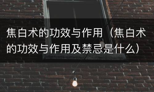 焦白术的功效与作用（焦白术的功效与作用及禁忌是什么）