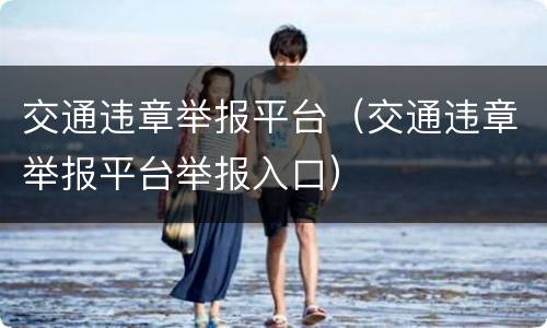 交通违章举报平台（交通违章举报平台举报入口）