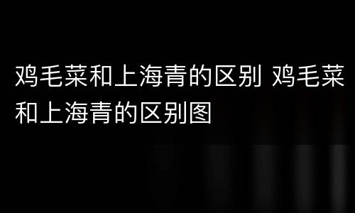 鸡毛菜和上海青的区别 鸡毛菜和上海青的区别图