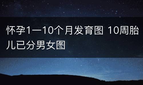 怀孕1一10个月发育图 10周胎儿已分男女图