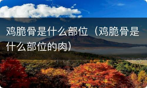 鸡脆骨是什么部位（鸡脆骨是什么部位的肉）
