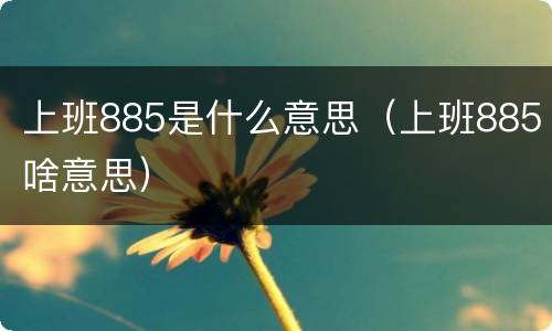 上班885是什么意思（上班885啥意思）