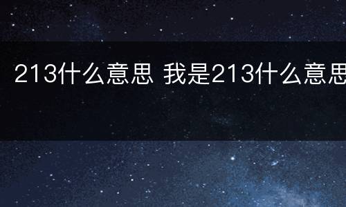 213什么意思 我是213什么意思
