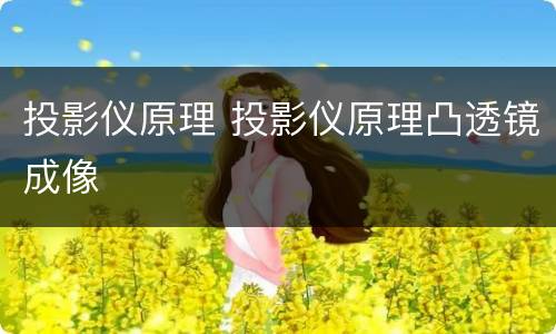 投影仪原理 投影仪原理凸透镜成像