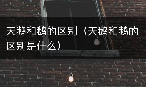 天鹅和鹅的区别（天鹅和鹅的区别是什么）