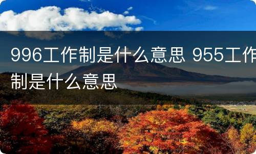 996工作制是什么意思 955工作制是什么意思