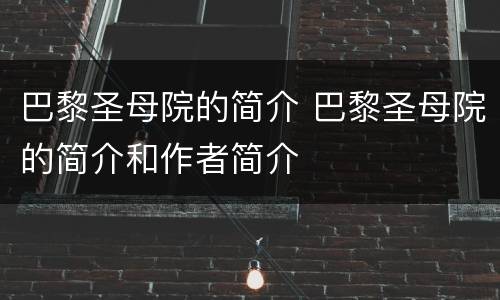 巴黎圣母院的简介 巴黎圣母院的简介和作者简介