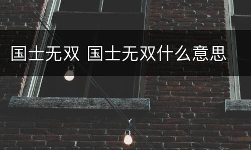 国士无双 国士无双什么意思