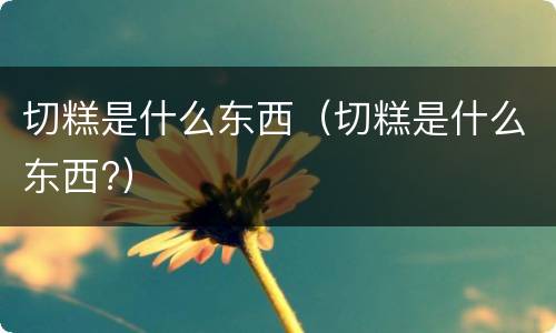 切糕是什么东西（切糕是什么东西?）