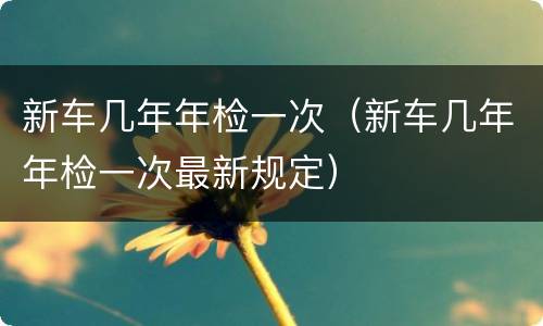 新车几年年检一次（新车几年年检一次最新规定）