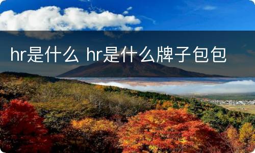 hr是什么 hr是什么牌子包包