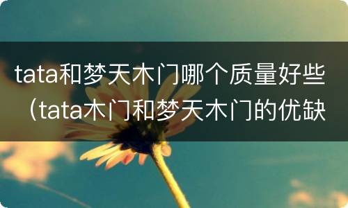 tata和梦天木门哪个质量好些（tata木门和梦天木门的优缺点）